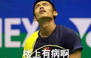 羽毛球界的表情包,没想到你是这样的林丹