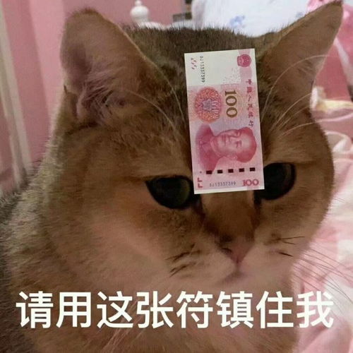天冷了,晚上睡觉冻醒了别忘了给舍友掀一下被子