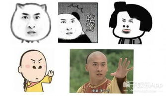 高能99的人不知道的表情包原型