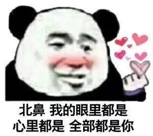 表白表情包