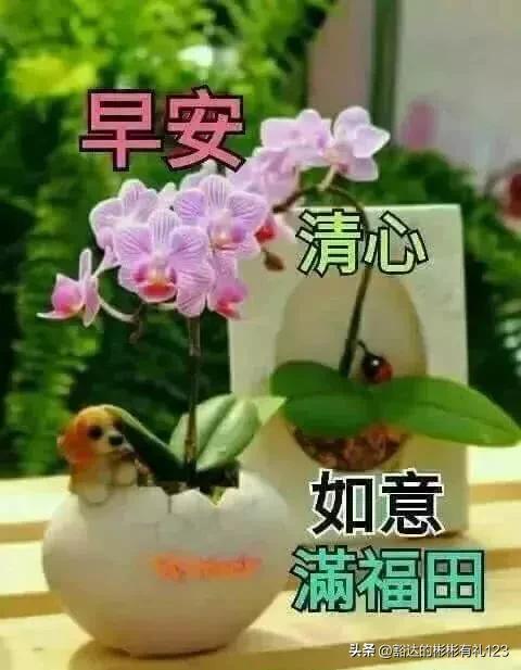11月13日早上好唯美动态图片祝友健康快乐心情好