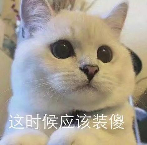 表情包心情简笔画猫咪