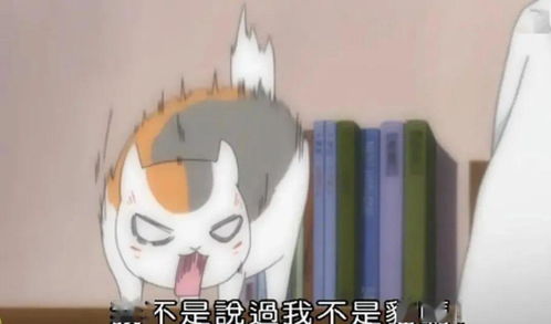 喵闻趣事丨喵星人是怎么征服人类的