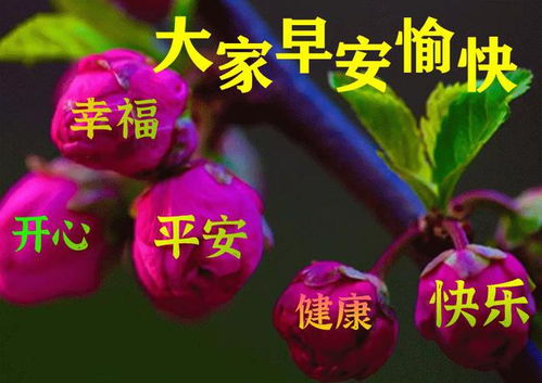 6月22日最漂亮早上好动态表情图片大全,早晨好动图美图大全