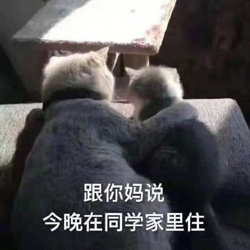 搞笑gif趣图本来是个正常的表演,只是最后这一下有点太突然了