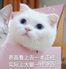 小米电视云测评43英寸全系列