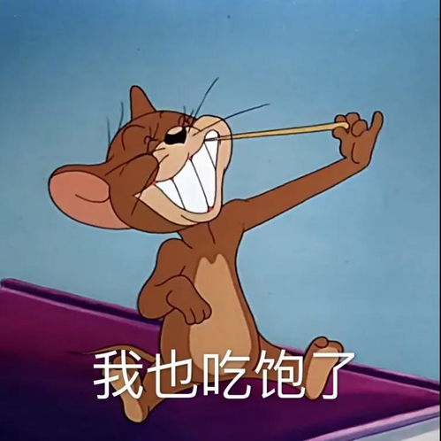 个性沙雕搞怪情头令人眼前一亮的发圈文案