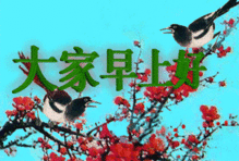 100张早上好表情包,让你100天的问候不重样赶快收藏转发吧