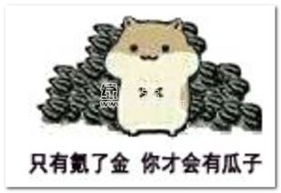 小仓鼠掉瓜子表情包小仓鼠掉瓜子可爱表情去广告版软件下载