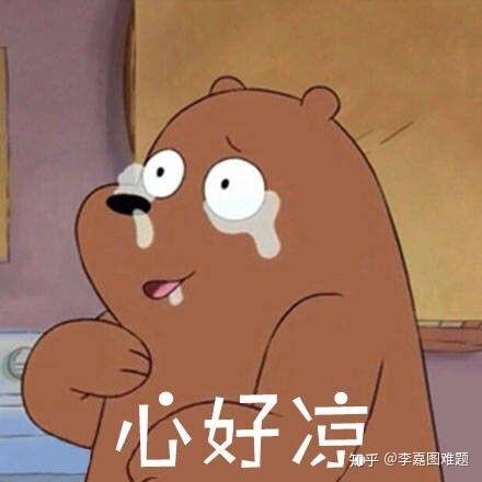 有没有这个熊熊系列的表情包