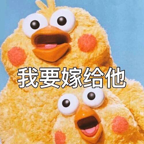 我的收藏