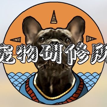 表情猫咪们总是在挠痒舔毛很可能它们患上皮炎了过敏表情