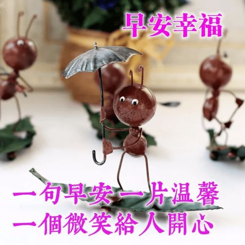 6月22日早上好适合群发给朋友的早上问候祝福语唯美花朵带祝福语图片