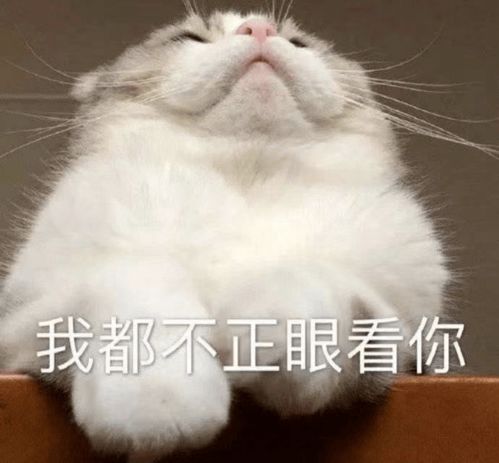 剃秃2cm发际线头顶冰淇淋是谁告诉赵露思这么做显脸小的