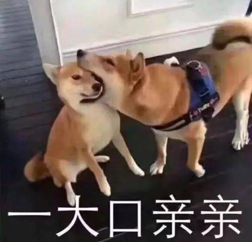 明天冬至下周贵州的天气表现竟然是这样的...