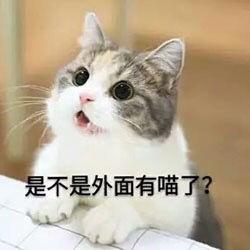 求这个猫表情包的原图