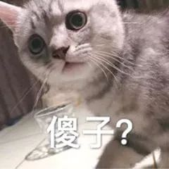 喵喵表情包,可以说是很强势啦