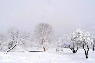 早安陕西下雪了