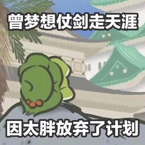 宅家的铜子们,休假在家也别忘做运动哇bj宅家日记22