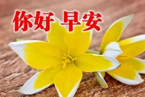 早安问候语图片早上好问候语表情短信清晨问候大全搞笑大小王