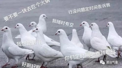 2020年汛期回顾,附赠一份晴好