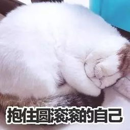 今天,你瘦了吗