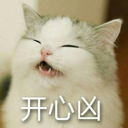 萌猫动态表情包零口供