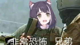海盗表情包300大作战