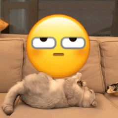 小猫咪翻滚emoji动态gif表情有魔性的小猫emoji表情图片