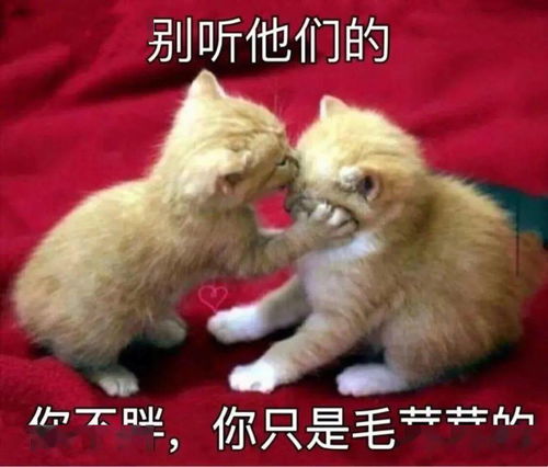 夺笋呐这些话伤害性不强,侮辱性极大