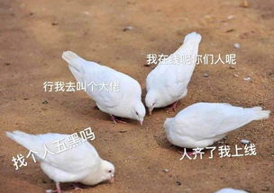 第二银河全球服前脚上线国内下载信息后脚更新,10月将成狂欢月