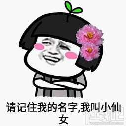 我是小仙女不能贪恋凡尘我是小仙女表情包