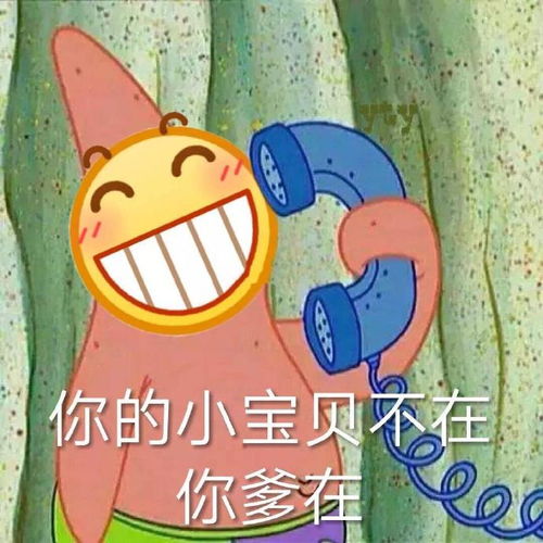 收藏夹