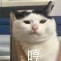 iphone居然自带游戏模式这些年手机白用了