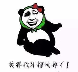 干货l教你如何优雅地回复朋友圈