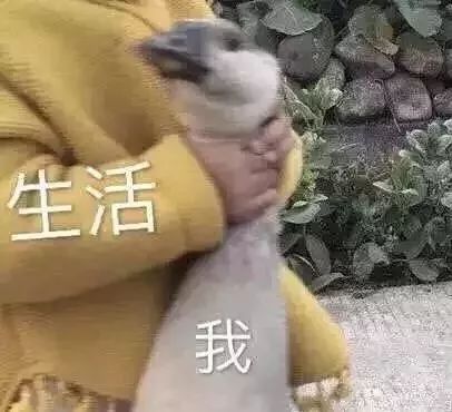 暴雨天行车除了减速,这几点能帮你远离事故