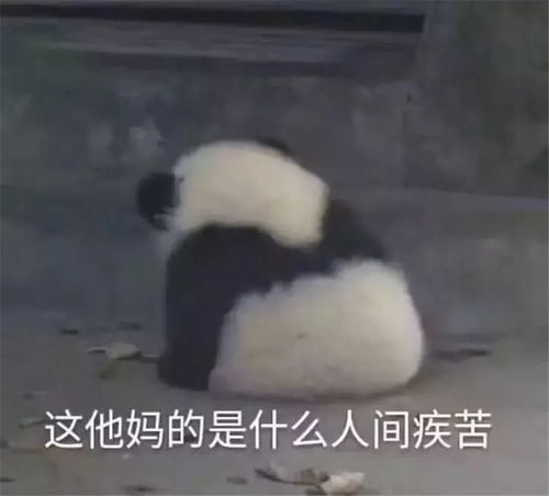 这个东京公寓的色彩太多了吧乍一看像儿童房,好像来到了童话世