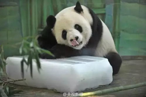 半月内,孝感城区21人中暑送急救这几类人要当心...
