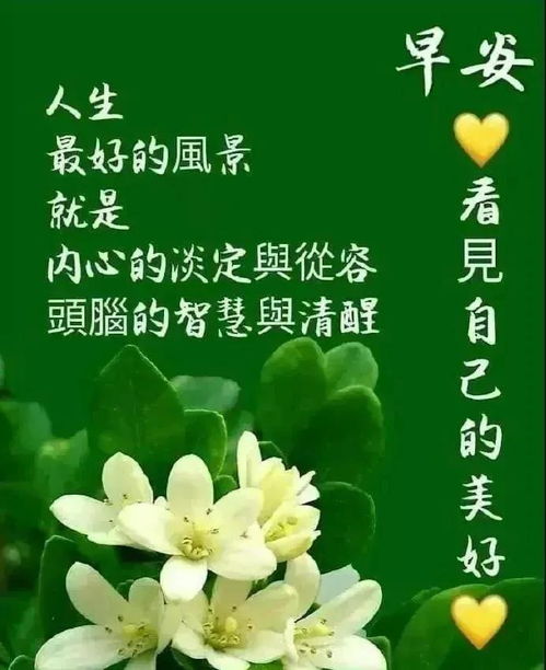 春季最新版早安动画图片表情包,动态问候语祝福语图片大全