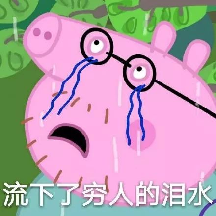 在南阳,像小猪佩奇一样活着需要多少钱