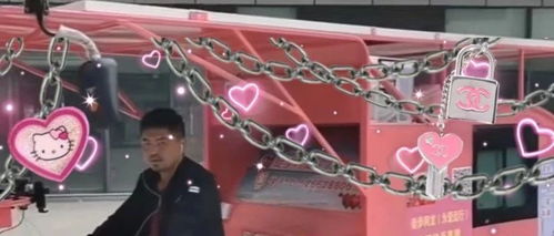 我们联系了卖徒步车给丽丽的商家,弄清了电动的真相