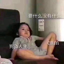 八月初八,今日忌出行