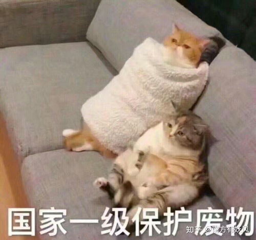 很瘦的女生却有双下巴,该怎么办