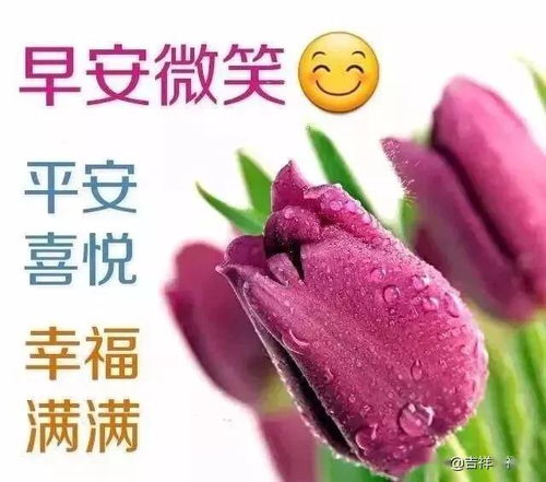 谁真谁假,心里明白谁忍谁让,都别伤害,早安