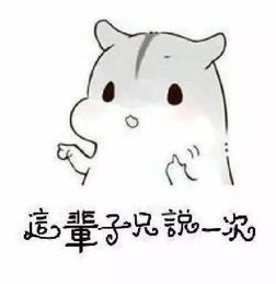 仓鼠表情包撩妹套路图
