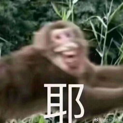 求一些魔性的图