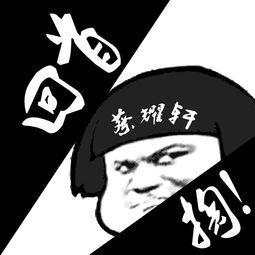 做你的前男友dj版蔡耀轩高音质在线试听做你的前男友dj版歌词歌曲下载酷狗音乐
