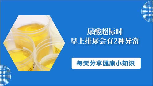 尿酸超标时,早上排尿会有2种异常,若都没有,说明尿酸含量正常