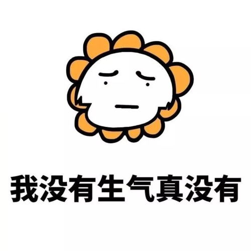 今日份表情包永远不能相信的九大鬼话