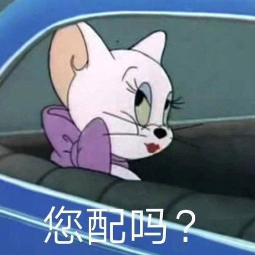 表情包我错了,下次不改